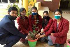 Plantation Drive in the School by our students and teachers